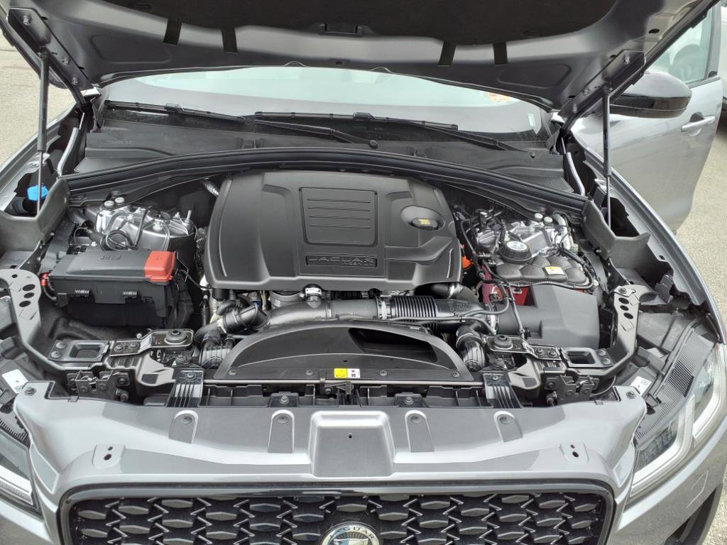 2025 Jaguar F-PACE P250 R-Dynamic S photo 9