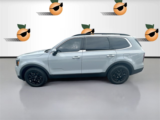 2024 Kia Telluride X-Pro photo 4