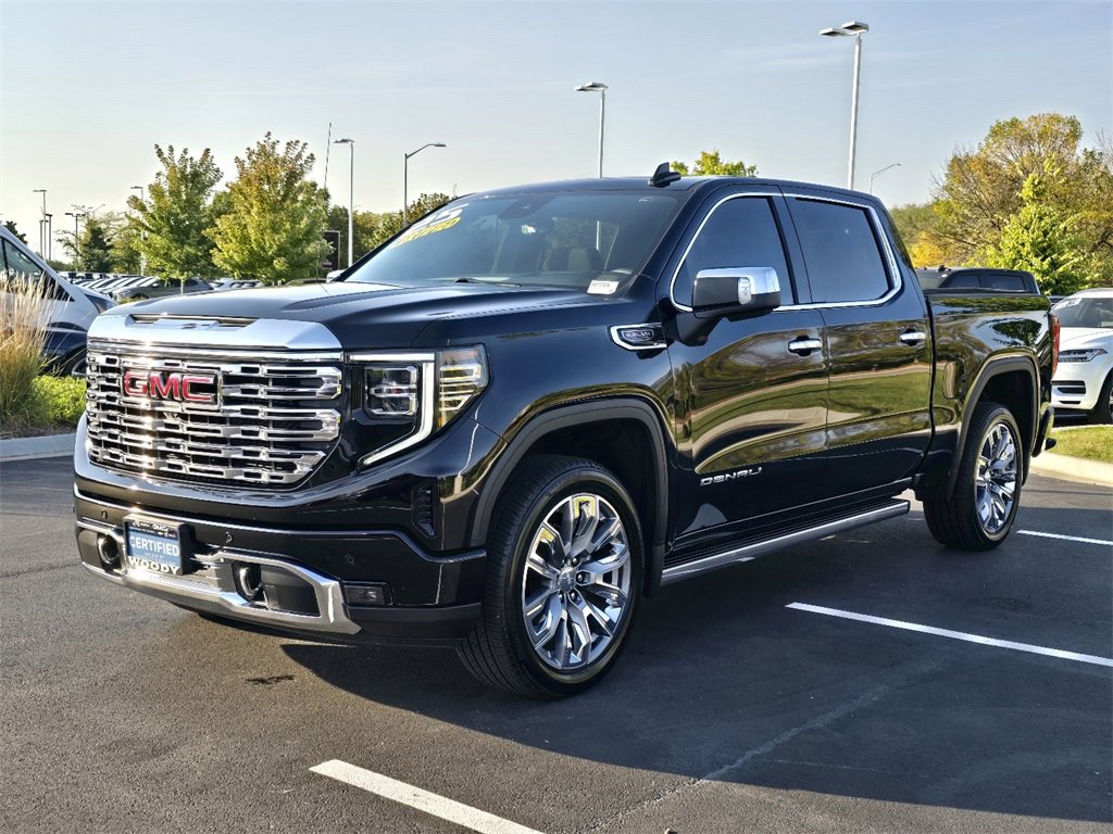 2025 Gmc Sierra 1500 Denali photo 3