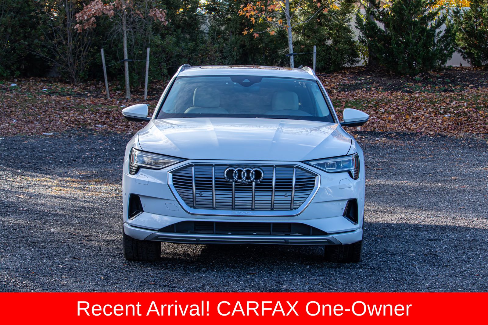 2021 Audi e-tron Premium Plus photo 2