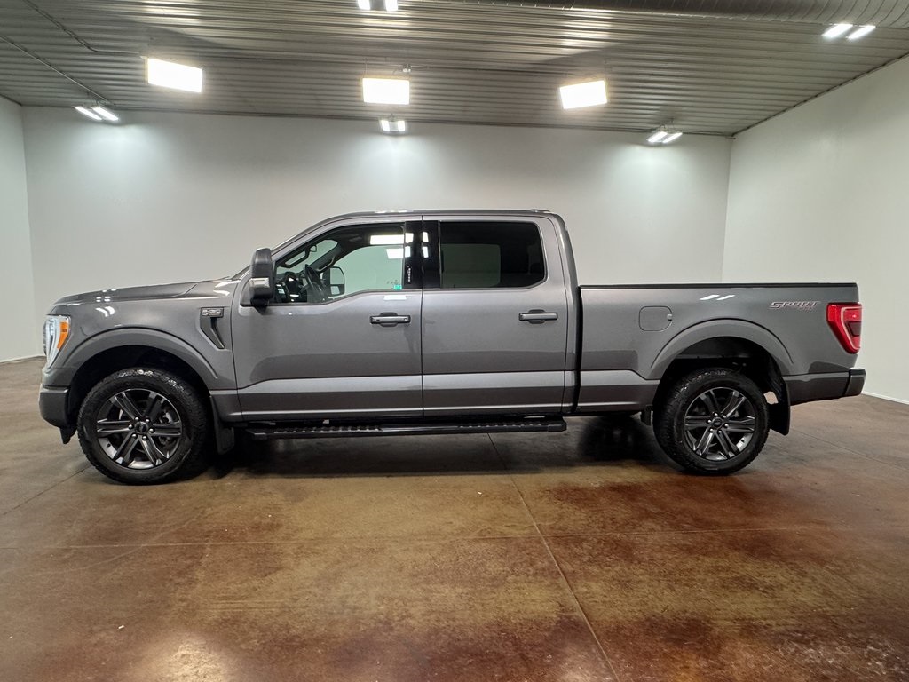 2023 Ford F-150 XLT photo 4