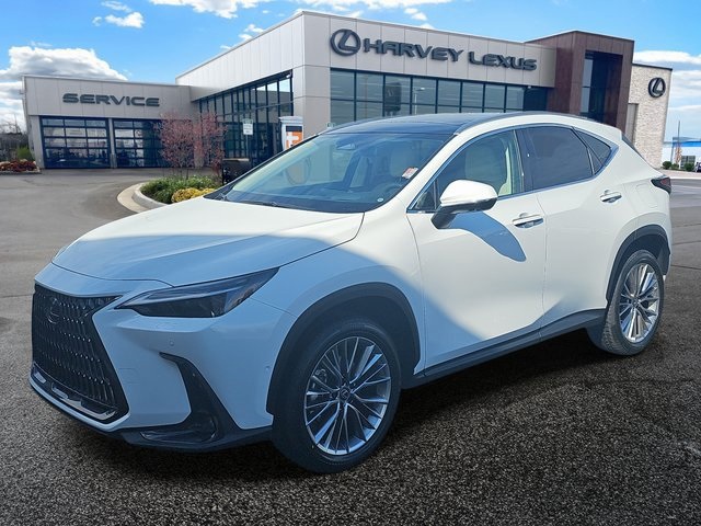 2026 Lexus NX 350's photo