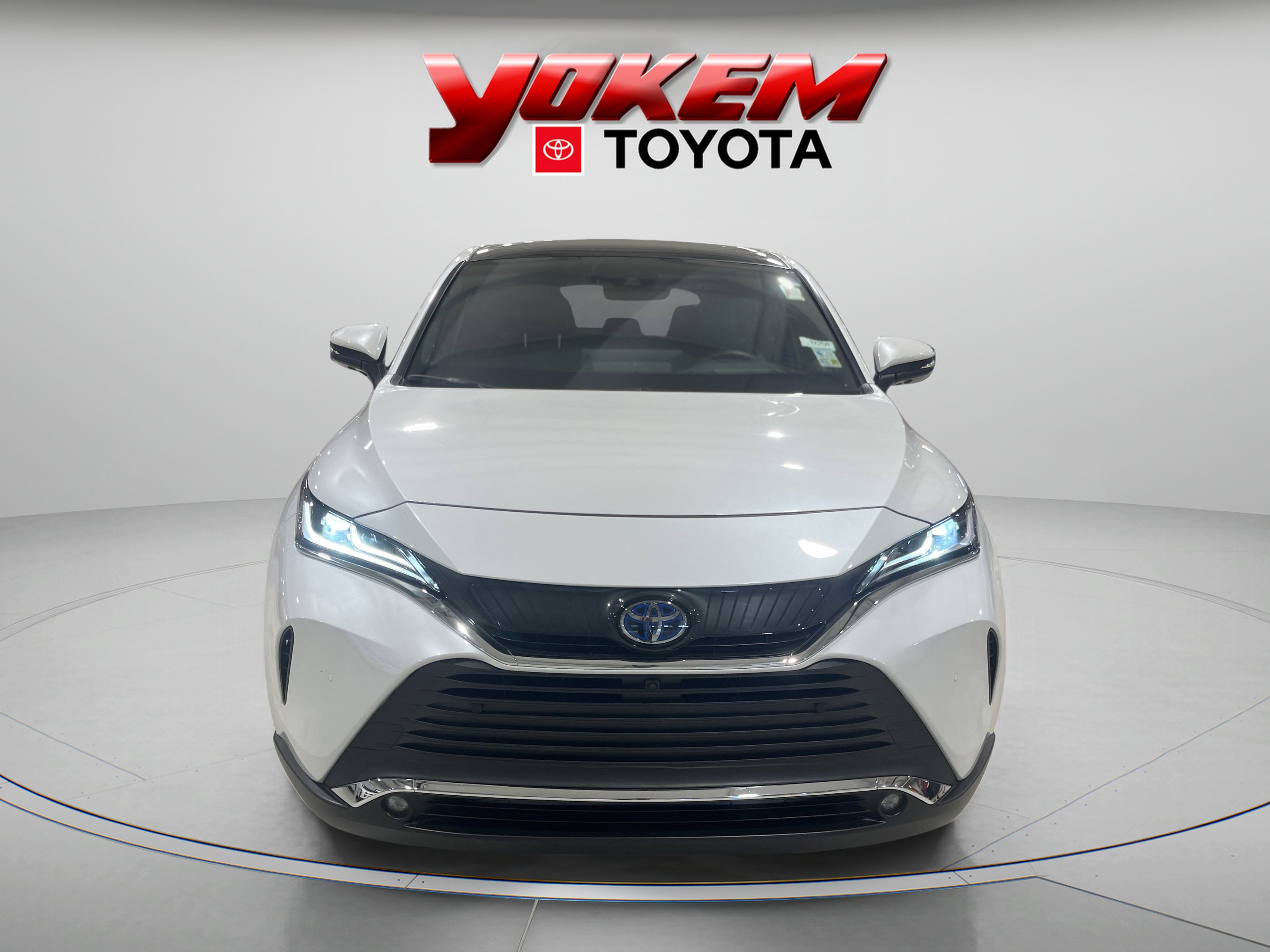 2024 Toyota Venza Limited photo 6