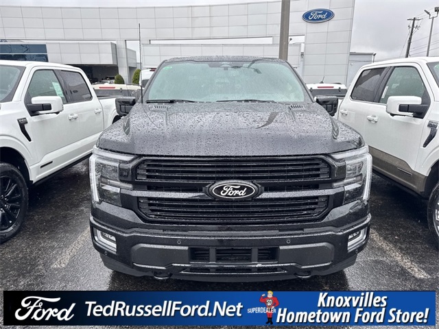 2025 Ford F-150 Platinum photo 2