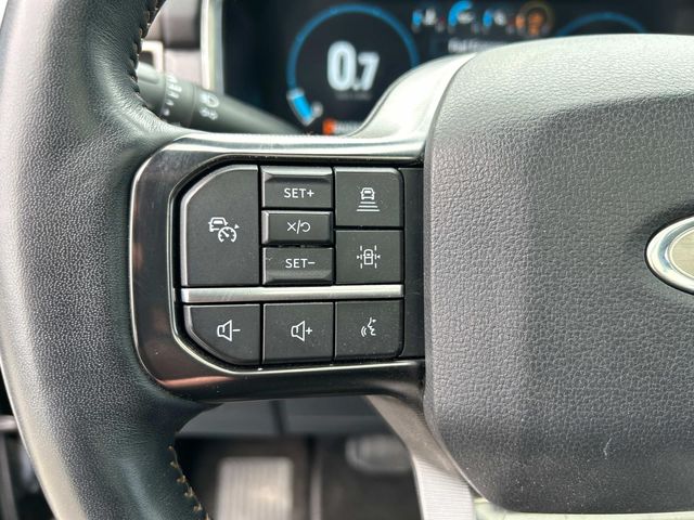 2023 Ford F-150 Platinum photo 19