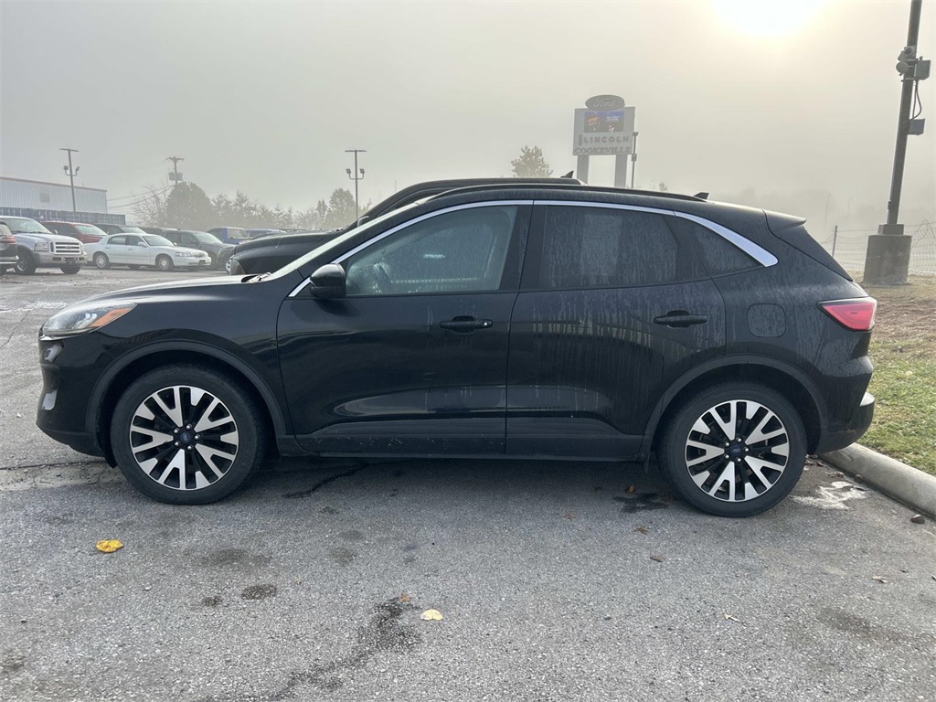 2020 Ford Escape SEL photo 3