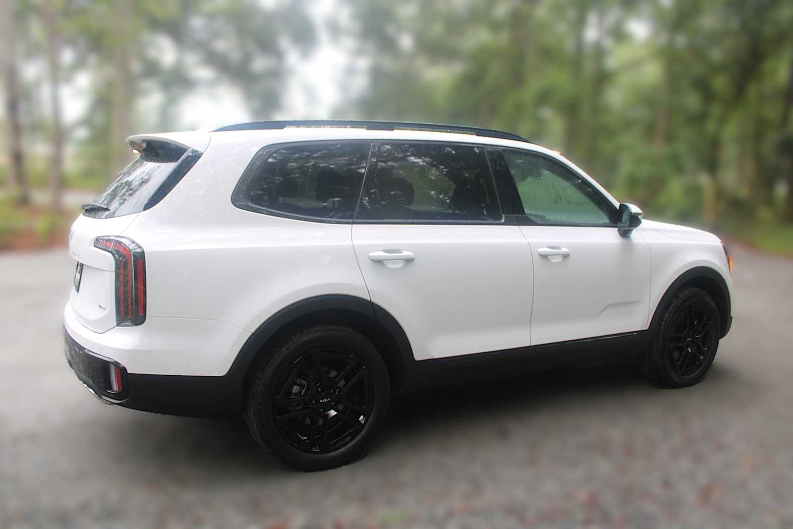 2025 Kia Telluride SX Prestige X-Line photo 12