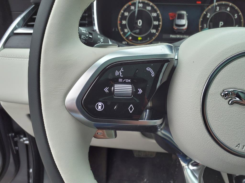 2025 Jaguar F-PACE P250 R-Dynamic S photo 16