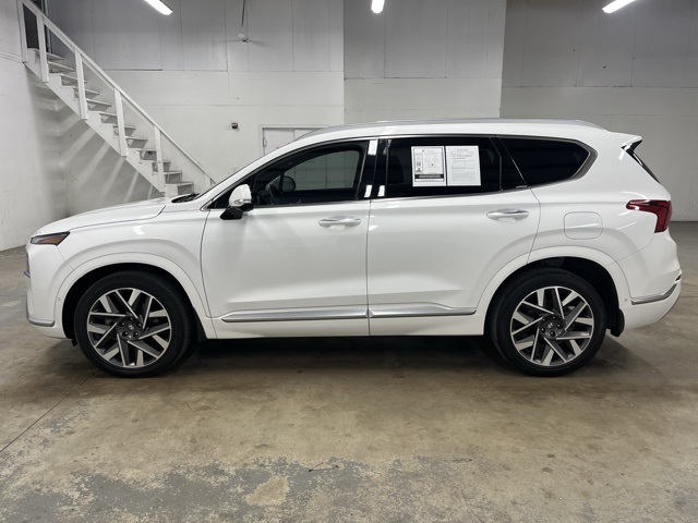 2023 Hyundai Santa Fe Calligraphy photo 4