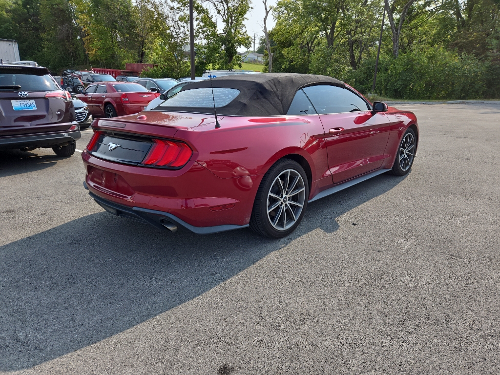2019 Ford Mustang EcoBoost Premium photo 3