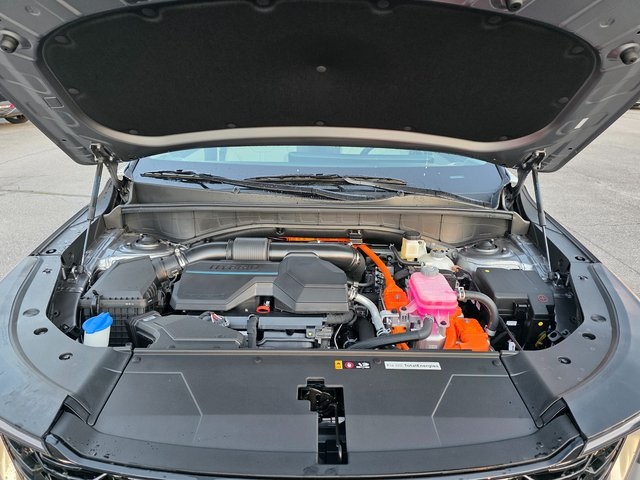 2025 Kia Sorento Hybrid EX photo 5