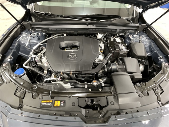 2025 Mazda CX-50 2.5 S Premium photo 22