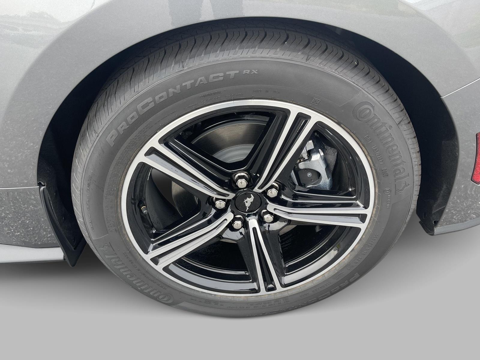 2025 Ford Mustang EcoBoost photo 4