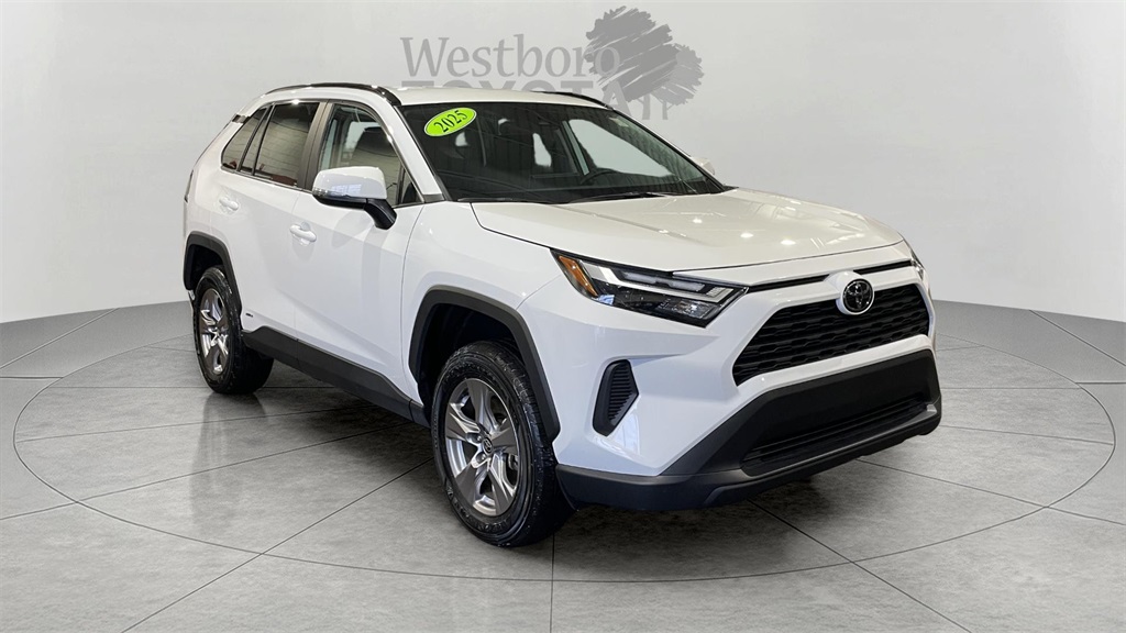 2025 Toyota RAV4 XLE's photo