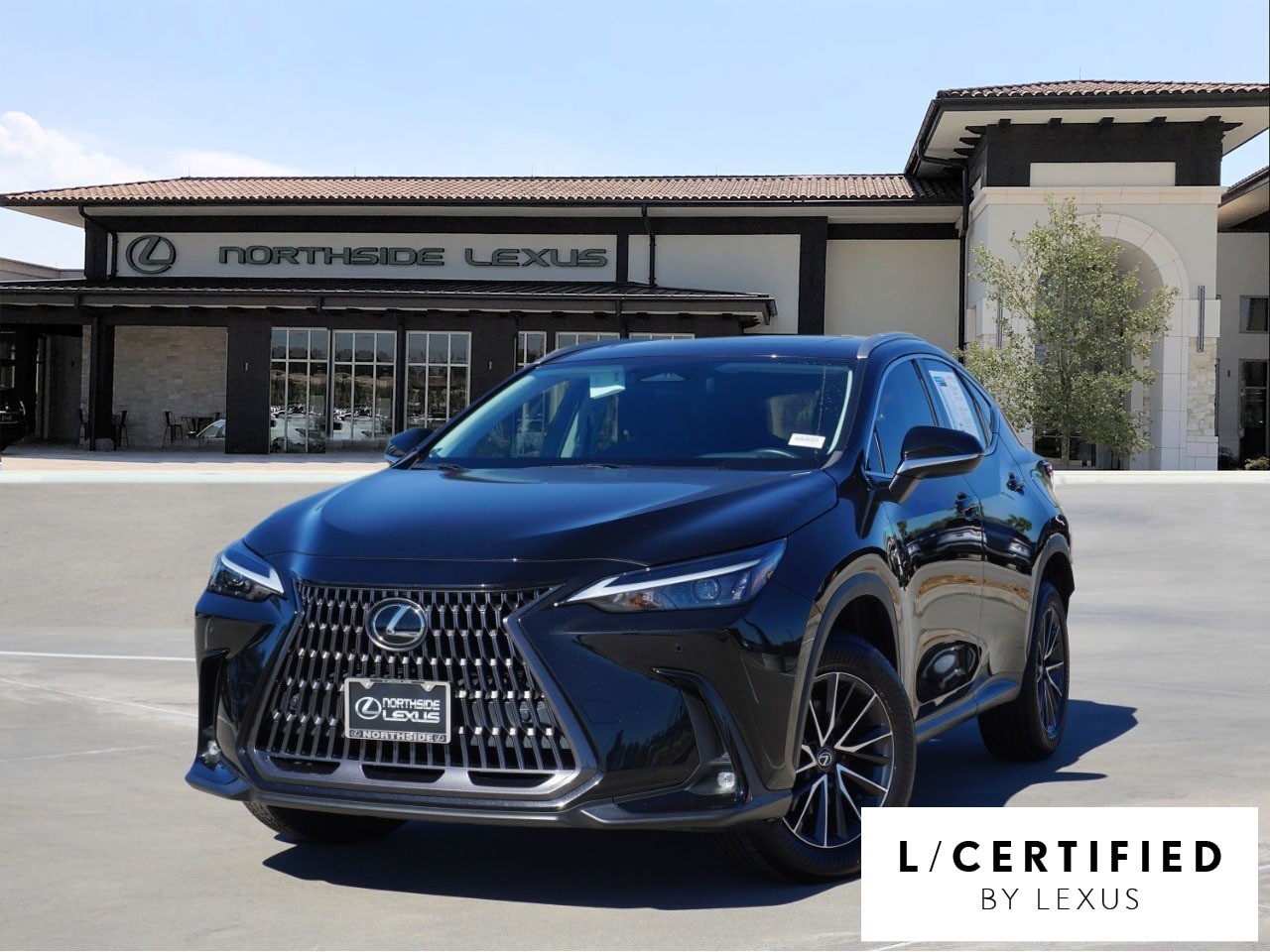 2024 Lexus NX 350's photo