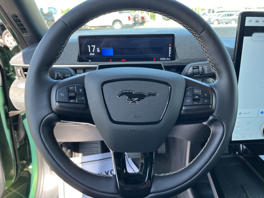 2024 Ford Mustang Mach-E GT photo 18