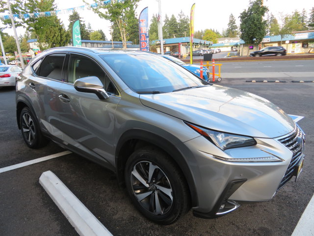 2020 Lexus NX 300h Premium photo 6