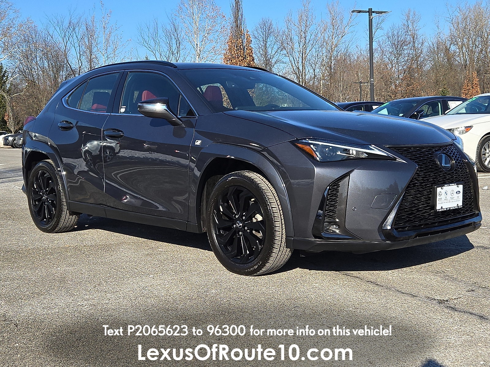 2023 Lexus UX Hybrid 250h F Sport Handling's photo