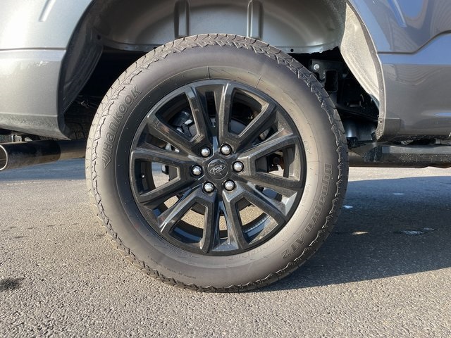 2025 Ford F-150 Platinum photo 8