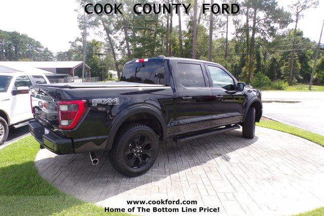 2022 Ford F-150 Lariat photo 9