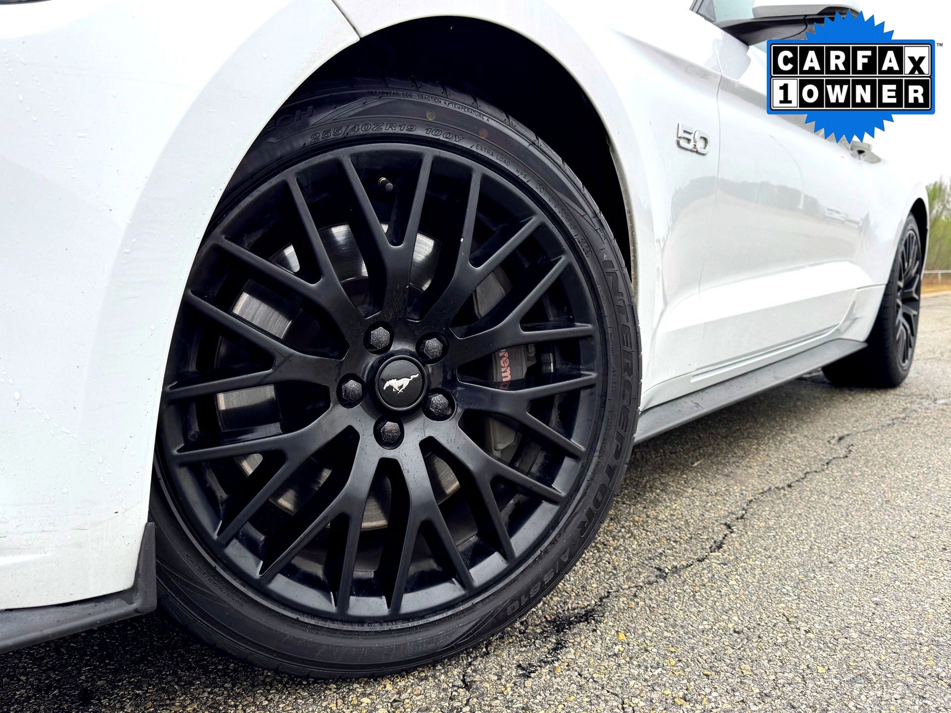 Used 2016 Ford Mustang GT Premium with VIN 1FA6P8CF4G5336161 for sale in Hutto, TX