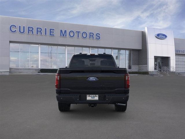2025 Ford F-150 STX photo 5