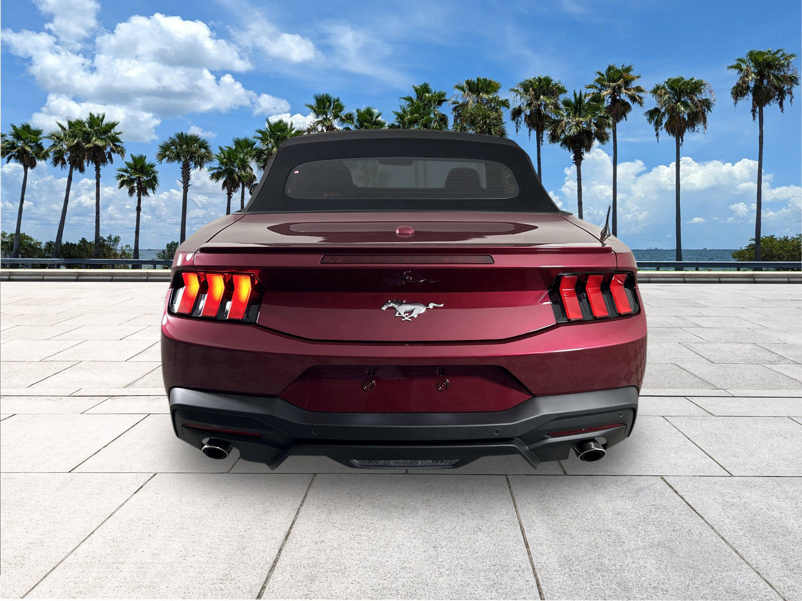 2025 Ford Mustang EcoBoost Premium photo 6