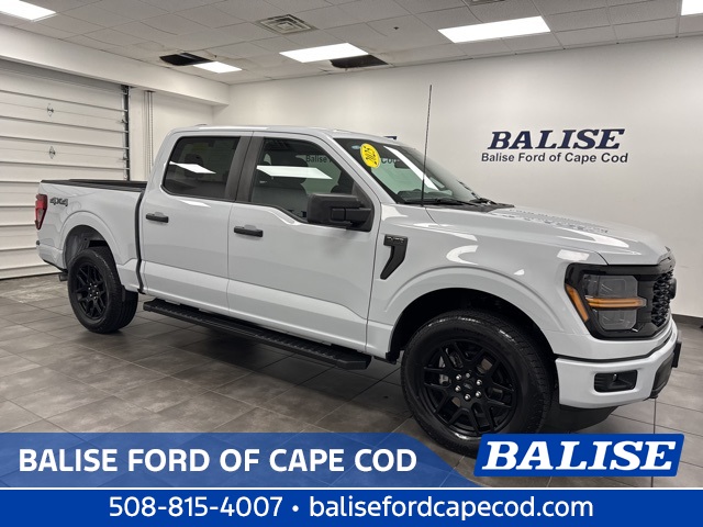 2025 Ford F-150 STX's photo