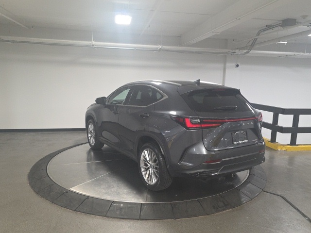 2023 Lexus NX 350 Luxury photo 2