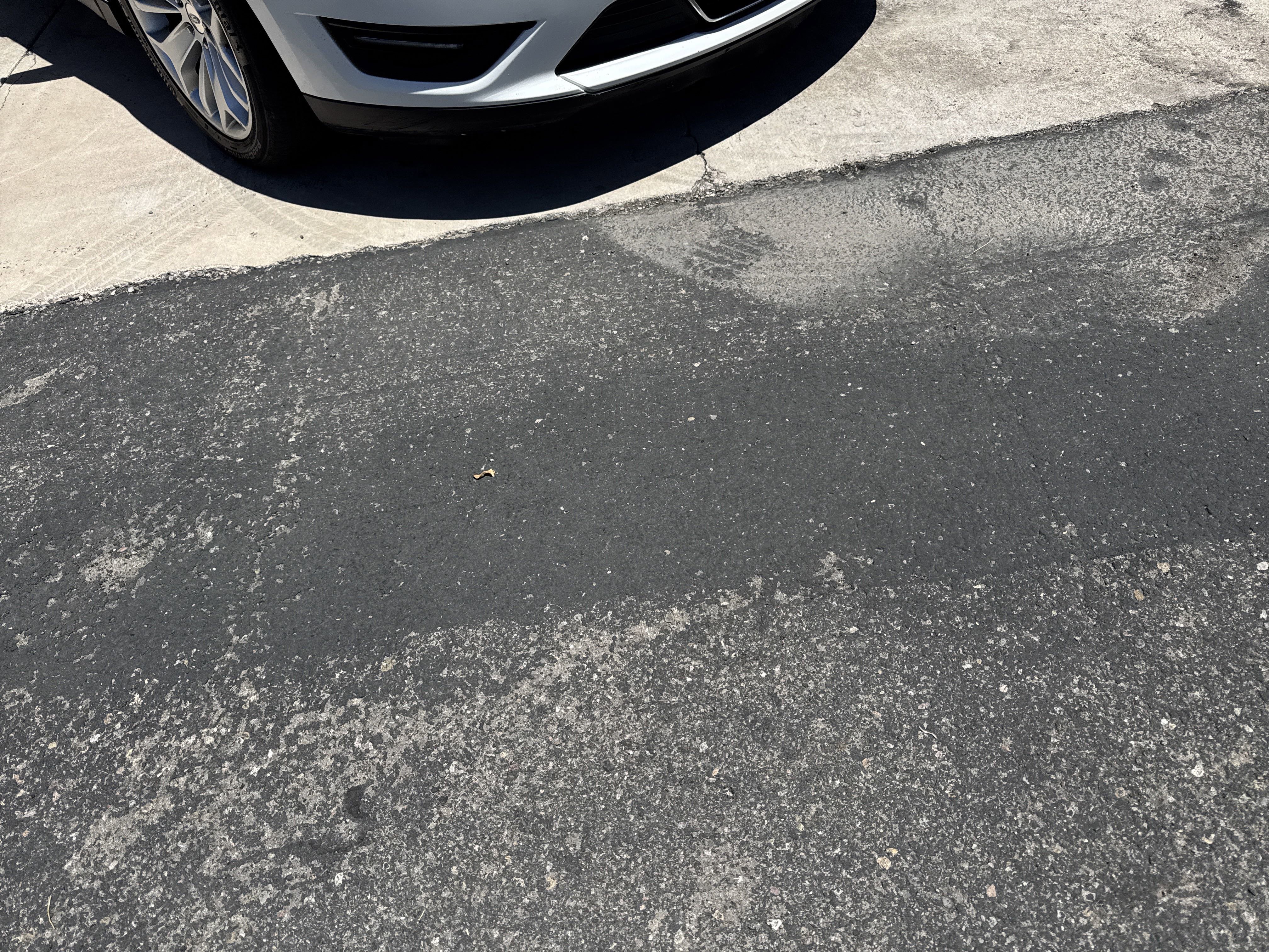 Used 2016 Ford Taurus Limited with VIN 1FAHP2F84GG104473 for sale in Nogales, AZ