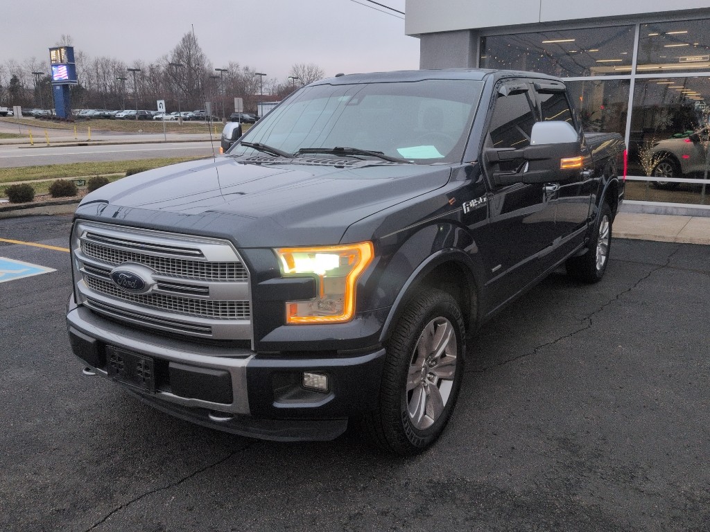 2015 Ford F-150 Platinum's photo
