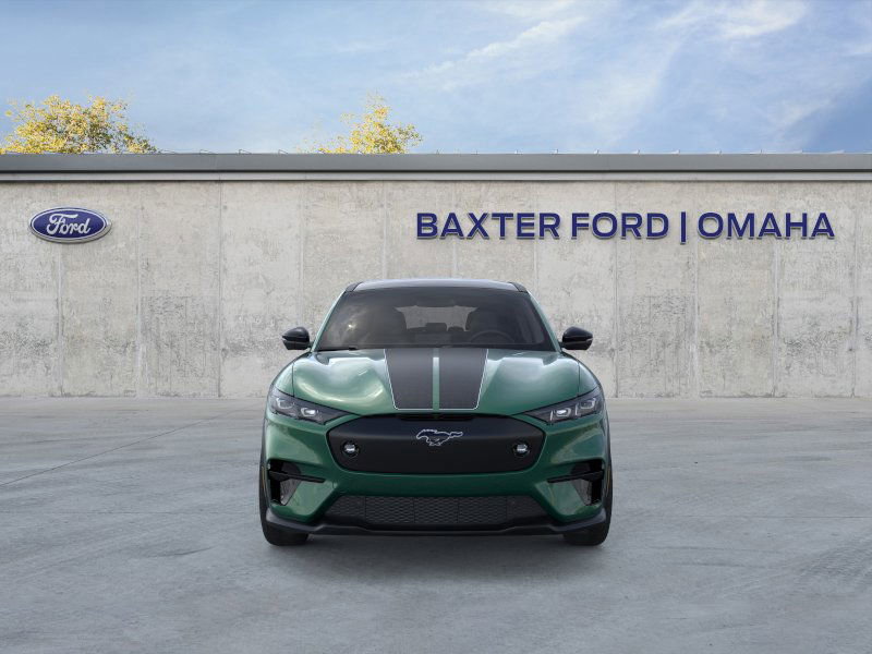 2025 Ford Mustang Mach-E GT Rally photo 17