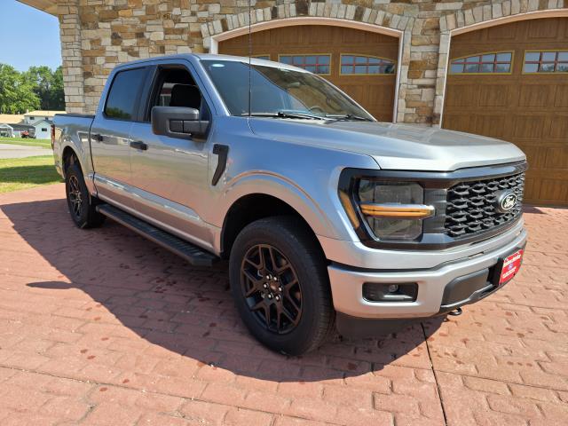 2025 Ford F-150 STX's photo