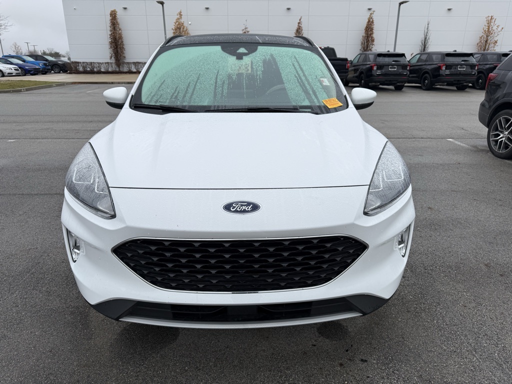 2020 Ford Escape SEL photo 2