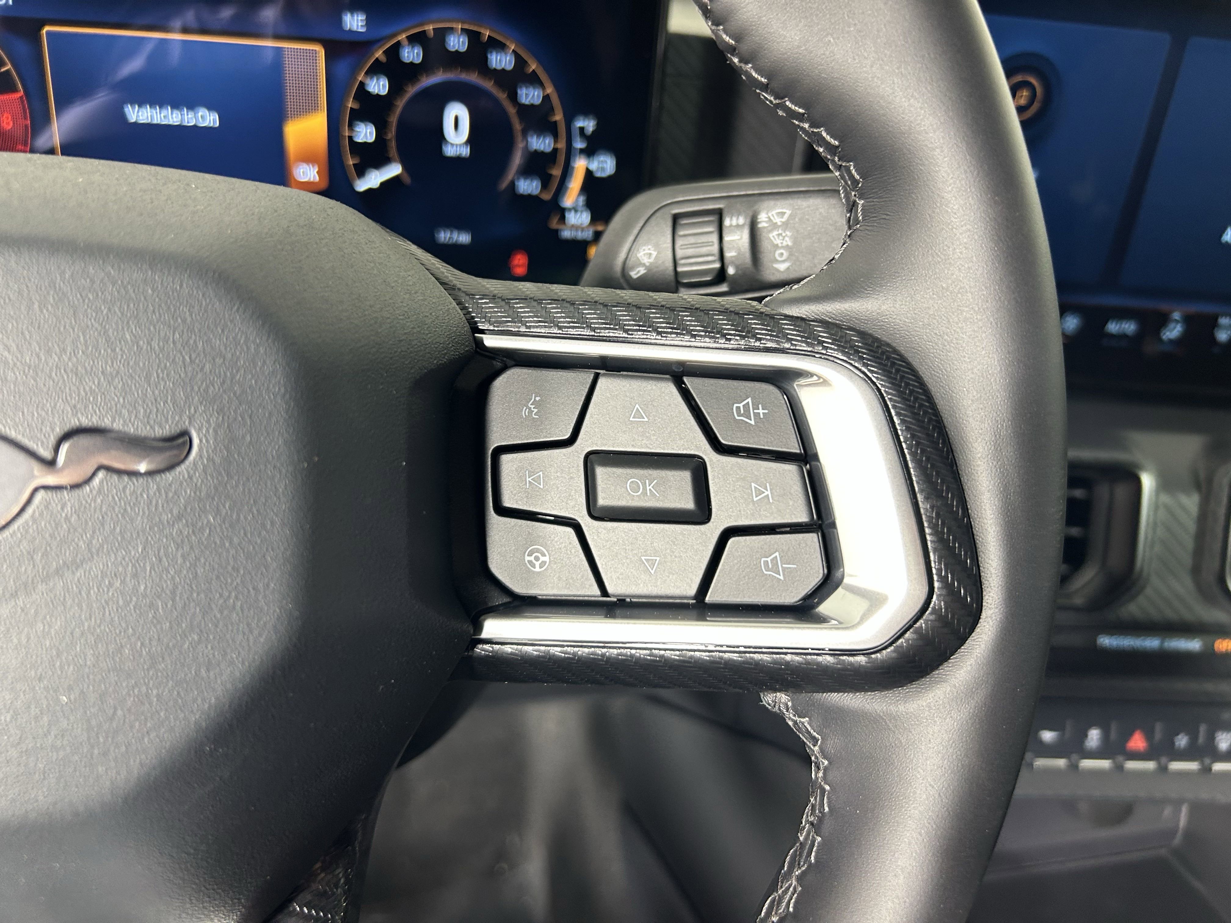 2025 Ford Mustang GT photo 13