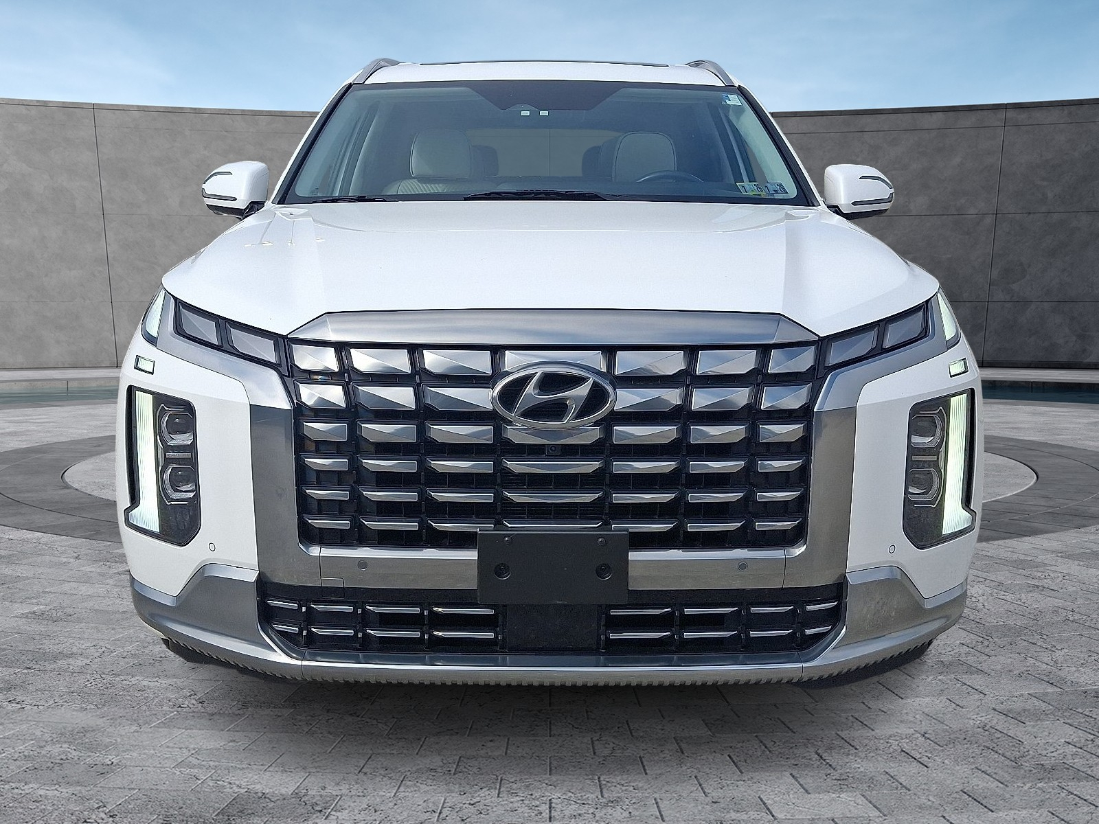 2023 Hyundai Palisade Calligraphy photo 2