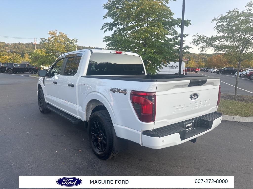 2025 Ford F-150 STX photo 6