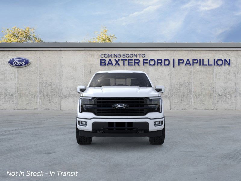 2025 Ford F-150 Platinum photo 18