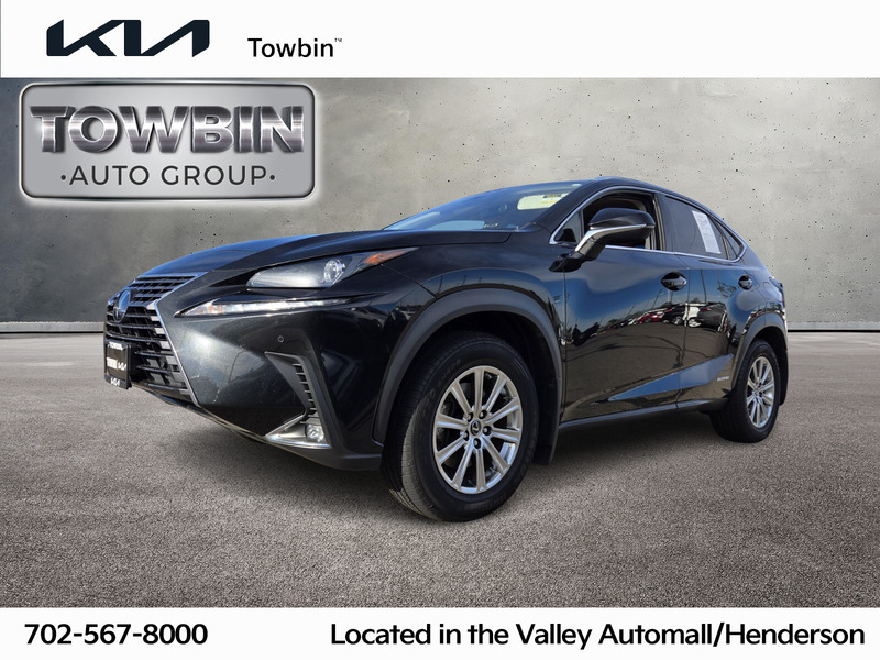 2020 Lexus NX Hybrid 300h's photo