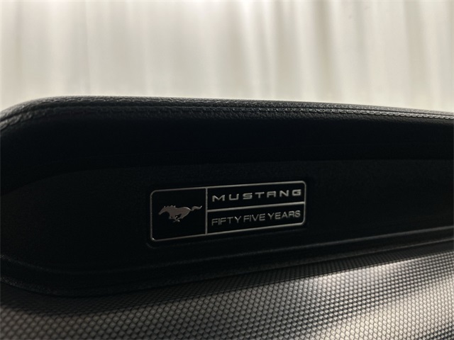 2020 Ford Mustang EcoBoost photo 23