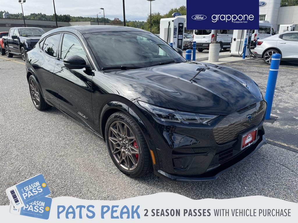 2025 Ford Mustang Mach-E GT AWD's photo