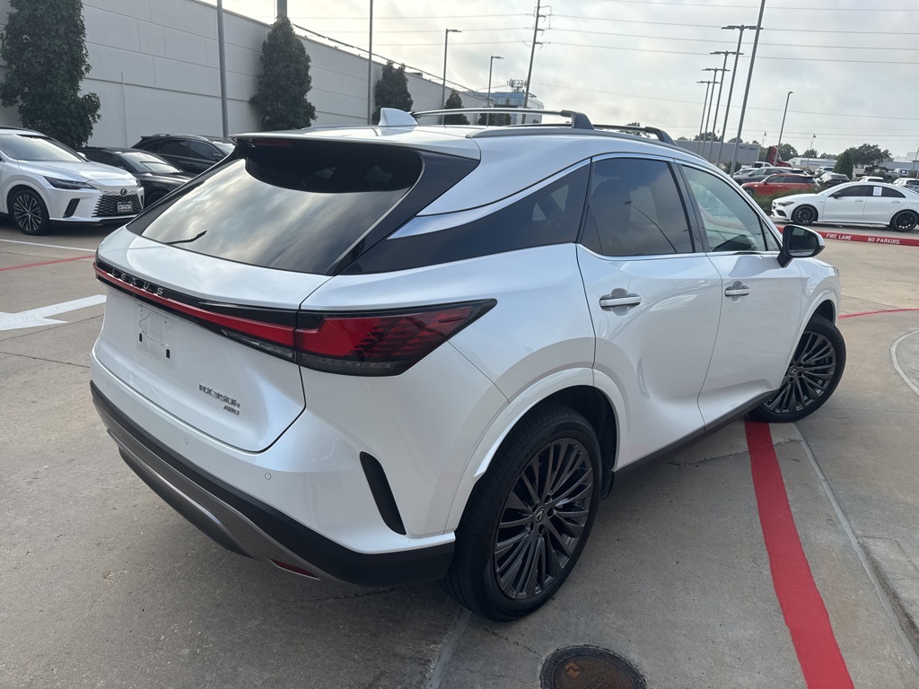 2023 Lexus RX Luxury photo 3