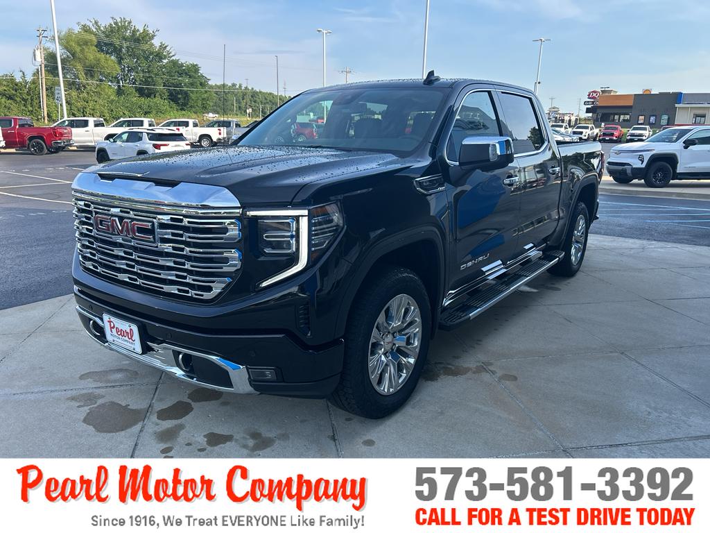 2025 Gmc Sierra 1500 Denali photo 8