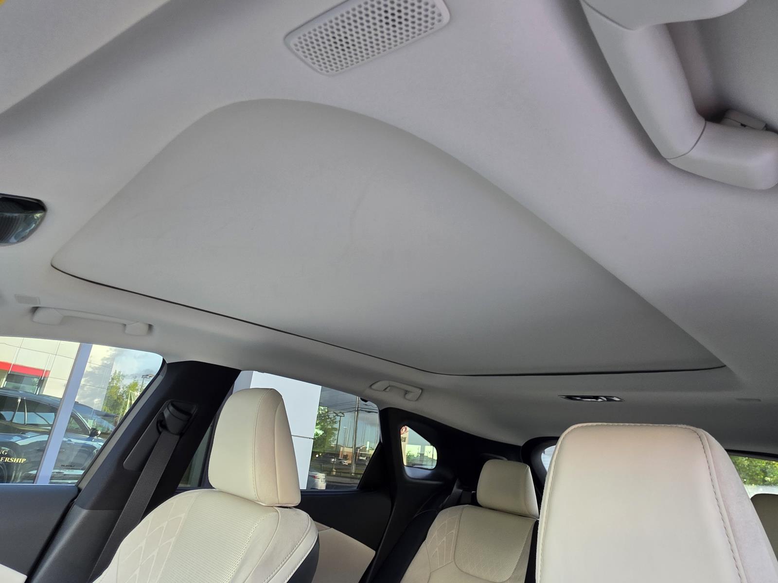 2023 Lexus RX 350 Luxury photo 7