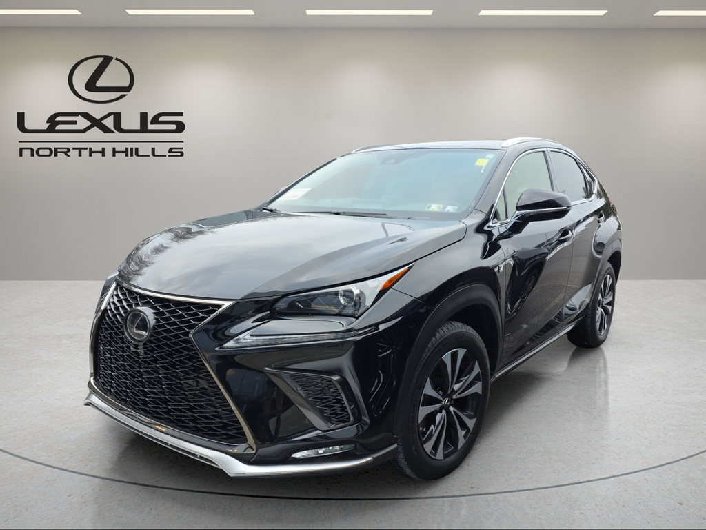 2020 Lexus NX 300 F SPORT's photo