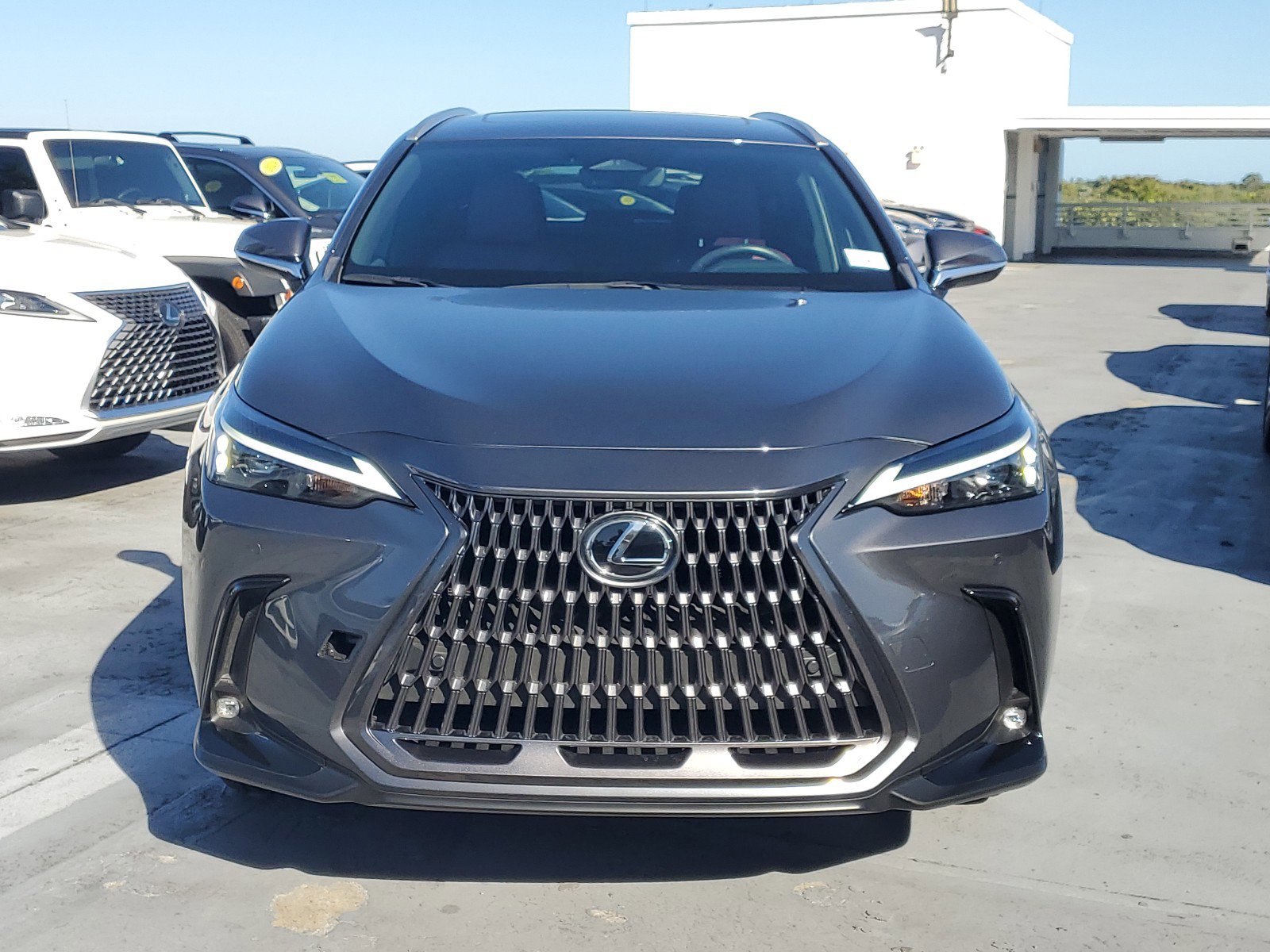 2024 Lexus NX 250 Premium photo 3