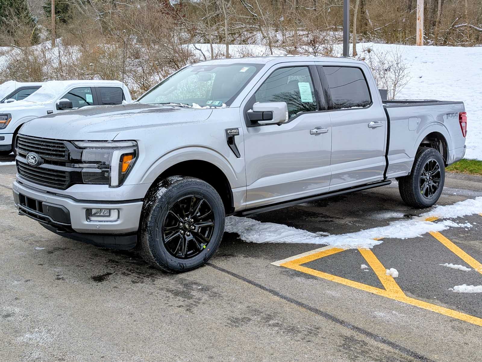2025 Ford F-150 Platinum's photo