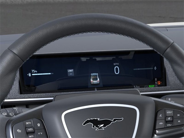 2025 Ford Mustang Mach-E GT photo 12