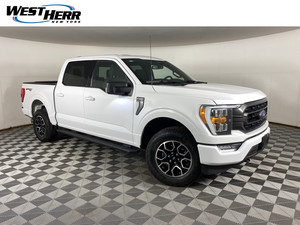 2023 Ford F-150 XLT's photo