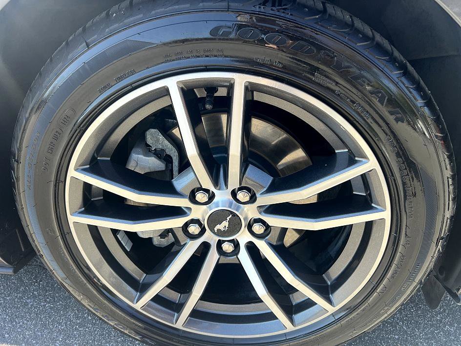 2019 Ford Mustang EcoBoost Premium photo 12